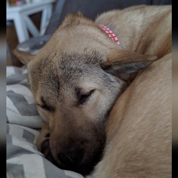 I'm Live! Come Sleep On Posh With Me!! - Picture 5 of 10